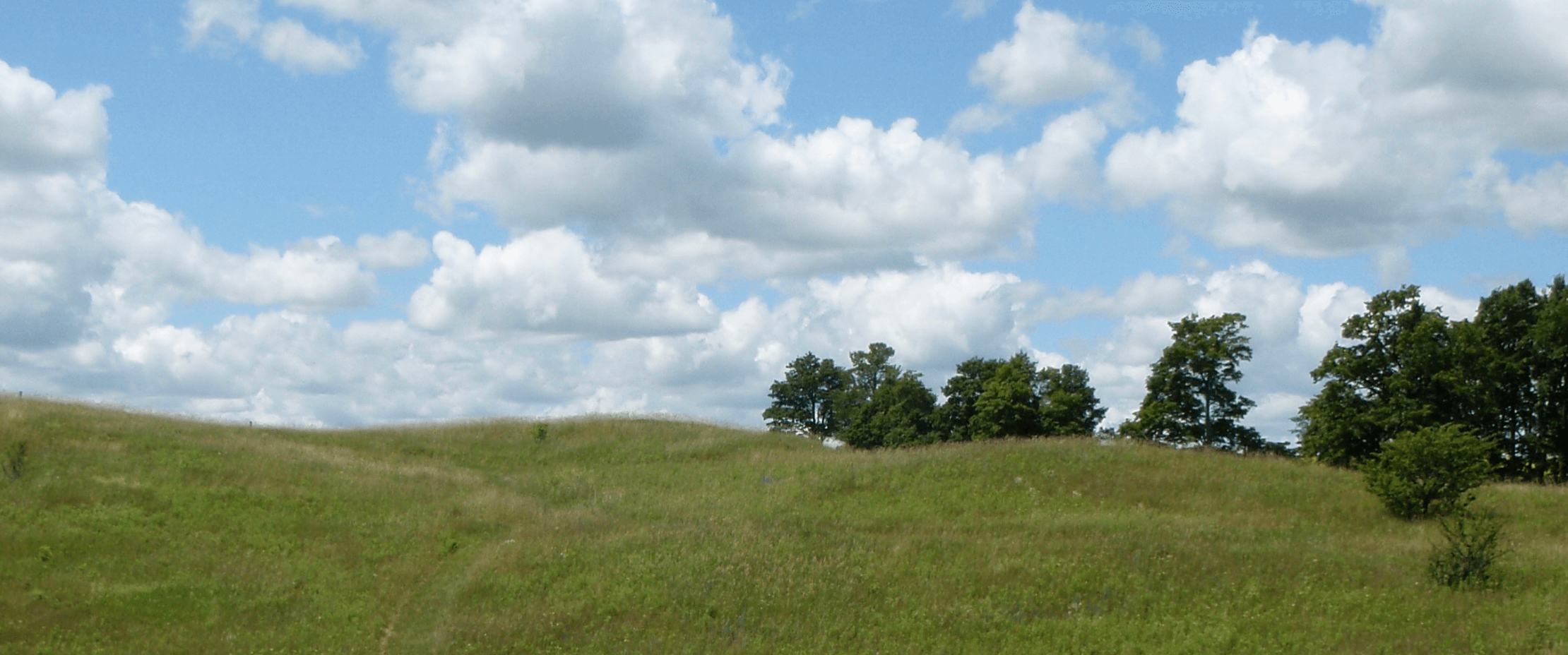Green grassy hills with a summers blue sky and white clouds. Trees are seen on the righthand side of the scenic image.