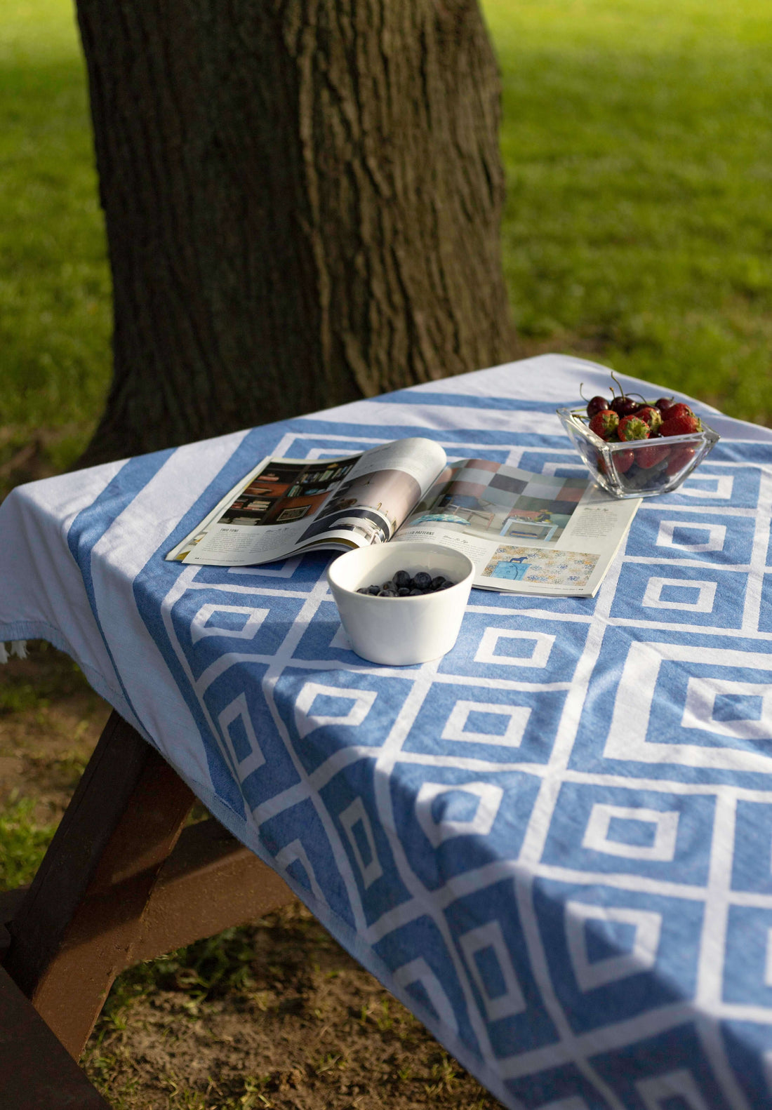 Blue and white Turkish towel used as a picnic tablecloth summer cottage core Canada